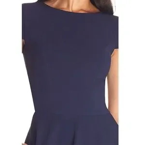 Dress the Population | Dresses | Dress The Population Livia Fit Flare Dress  Nwt | Poshmark